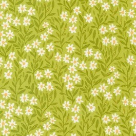 Kindred 36073 15 Green Daisies