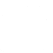 Bella Solids Bleached White 9900 98