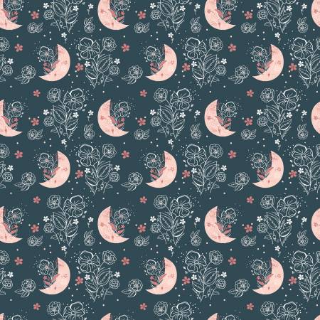 Beneath the Western Sky C11191 DKNAVY