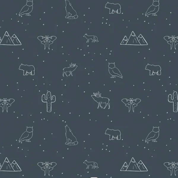 Beneath the Western Sky C11194 DKNAVY