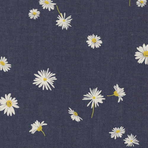Daisies on Denim Background