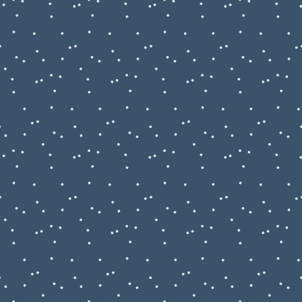 Quilting_fabric_online_patchwork_fabric_shops_garfield_pakenham_warragul_drouin_berwick_melbourne_victoria_australia_quality_firefly_meags_3609-89