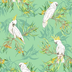 Gumtree Friends Cockatoo Corella 7118B1
