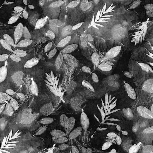 Into the Woods 2 Black PWKA017