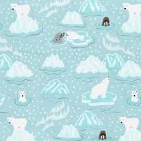 Northern Lights LEIC3 1