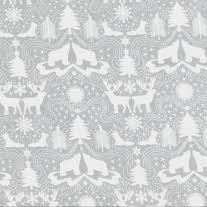 Northern Lights LEIC5 2