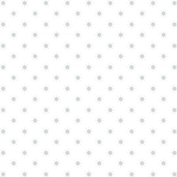 Northern Lights LEICA4-1