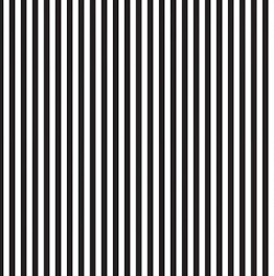 0.25in Black Stripe C555